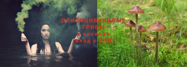 прущие крисы Алексеевка