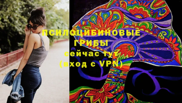 прущие крисы Алексеевка
